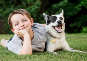 COMO ESCOLHER O CÃO CERTO? (parte 1) - Escolher o cão que se tornará seu companheiro pelos próximos dez, doze anos ou mais é uma decisão crucial.