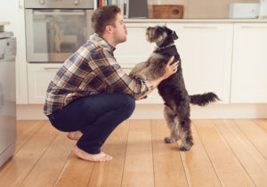 COMO FALAR COM CÃES - Se você já se perguntou como se comunicar melhor com os cães, você não está sozinho.
