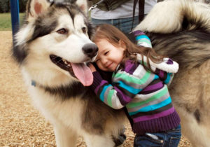 Conviver com cães diminui em mais de 30% o risco de morte e de ter doenças do coração, diz estudo