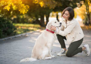 10 Melhores raças de cães de apoio emocional Conheça as raças afetuosas e amorosas mais adequadas para fornecer apoio emocional