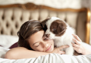 Como os cães se apaixonam pelos donos? Segundo dados do IBGE, atualmente, são mais bichos do que crianças nos lares do Brasil.