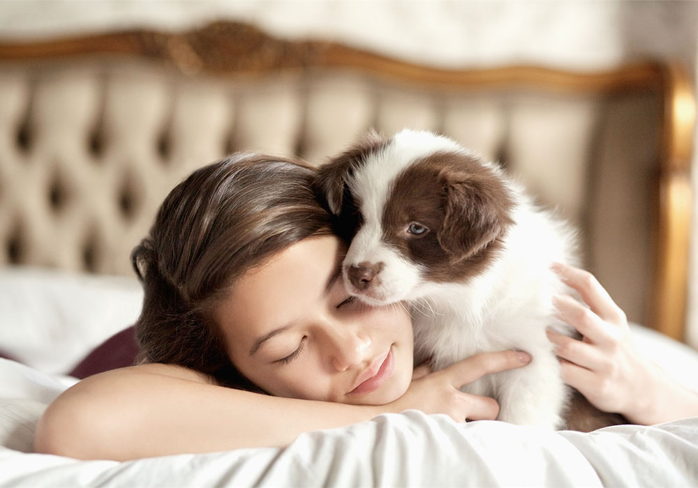 Como os cães se apaixonam pelos donos? Segundo dados do IBGE, atualmente, são mais bichos do que crianças nos lares do Brasil.