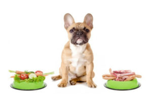 Alimentação natural para cães, descubra como pode ajustar a alimentação canina de maneira saudável e saborosa! Continue lendo para obter informações detalhadas.