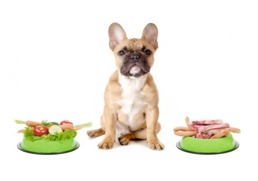 Alimentação natural para cães, descubra como pode ajustar a alimentação canina de maneira saudável e saborosa! Continue lendo para obter informações detalhadas.