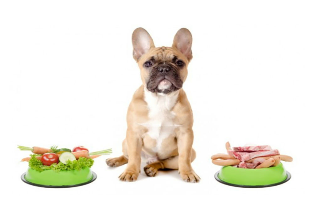 Alimentação natural para cães, descubra como pode ajustar a alimentação canina de maneira saudável e saborosa! Continue lendo para obter informações detalhadas.