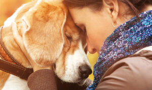 Melhore a Qualidade de Vida para Você e Seu Cão