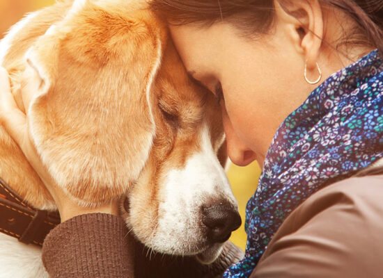 Melhore a Qualidade de Vida para Você e Seu Cão